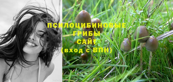 гашик Абаза